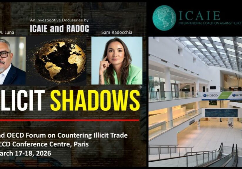 Illicit Shadows OECD Cover